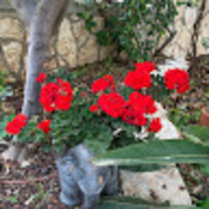 Meet your Posher, Naava